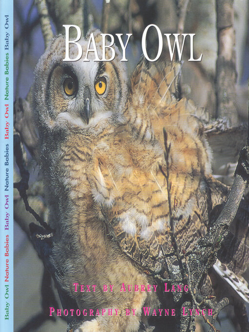 Title details for Baby Owl by Aubrey Lang - Available